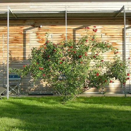 Ca D'reggio Canelli